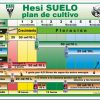 HESI COMPLEJO RADICULAR - Imagen 2